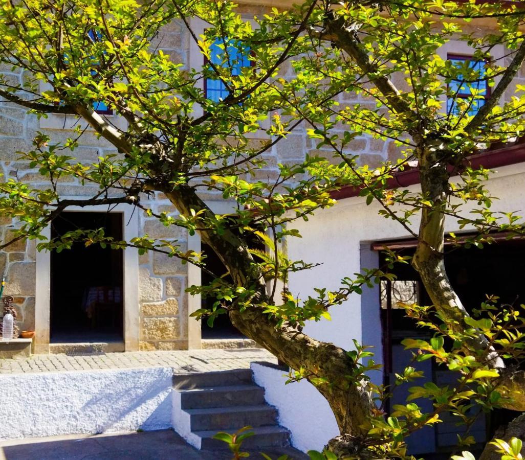 Casa D'Avo Na Villa Termas de Sao Pedro do Sul Kültér fotó